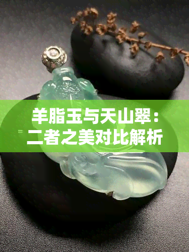 羊脂玉与天山翠：二者之美对比解析，助您轻松挑选最适合的珠宝材料