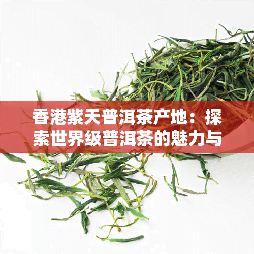 紫天普洱茶产地：探索世界级普洱茶的魅力与生产过程