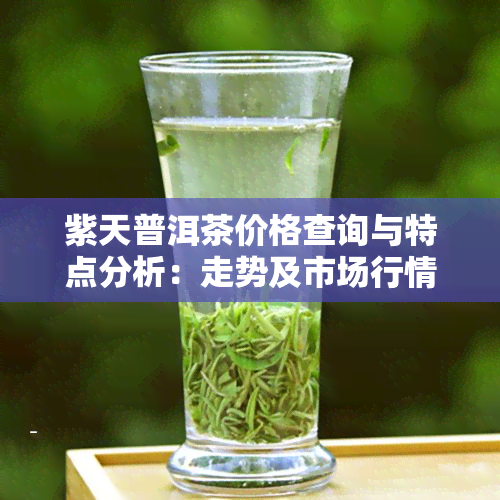 紫天普洱茶价格查询与特点分析：走势及市场行情全解析