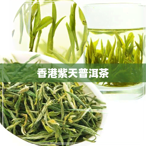 紫天普洱茶