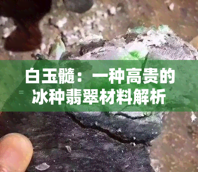 白玉髓：一种高贵的冰种翡翠材料解析