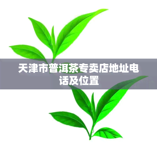 天津市普洱茶专卖店地址电话及位置