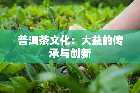 普洱茶文化：大益的传承与创新