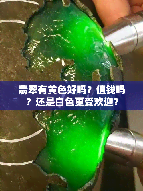 翡翠有黄色好吗？值钱吗？还是白色更受欢迎？