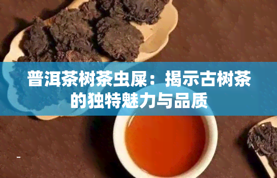 普洱茶树茶虫屎：揭示古树茶的独特魅力与品质