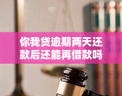 你我贷逾期两天还款后还能再借款吗？安全吗？