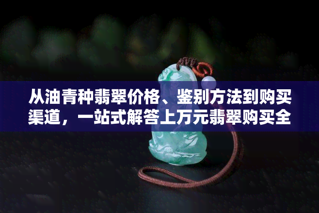 从油青种翡翠价格、鉴别方法到购买渠道，一站式解答上万元翡翠购买全攻略