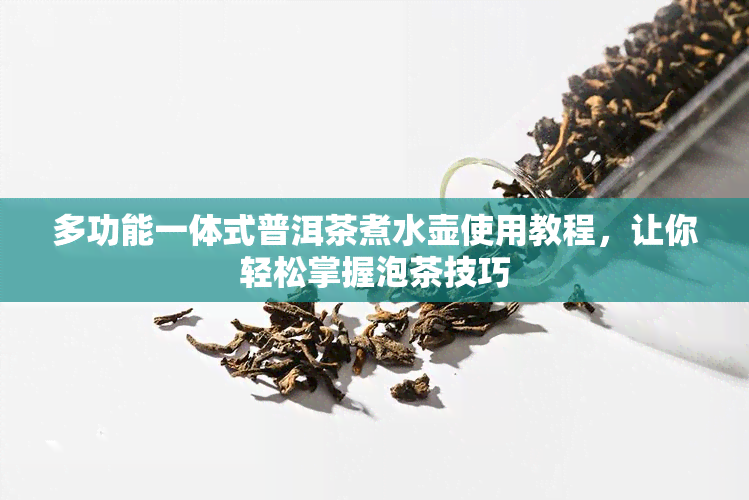 多功能一体式普洱茶煮水壶使用教程，让你轻松掌握泡茶技巧