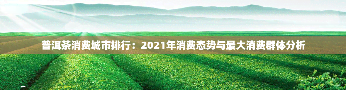 普洱茶消费城市排行：2021年消费态势与更大消费群体分析