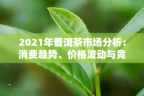 2021年普洱茶市场分析：消费趋势、价格波动与竞争全面解析