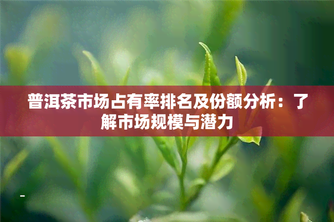 普洱茶市场占有率排名及份额分析：了解市场规模与潜力