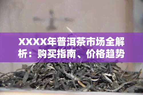 XXXX年普洱茶市场全解析：购买指南、价格趋势、推荐及品鉴技巧一网打尽