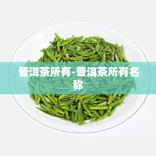 普洱茶所有-普洱茶所有名称