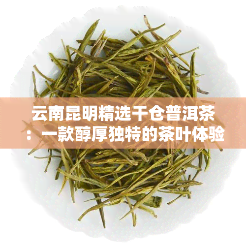 云南昆明精选干仓普洱茶：一款醇厚独特的茶叶体验