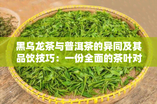 黑乌龙茶与普洱茶的异同及其品饮技巧：一份全面的茶叶对比指南