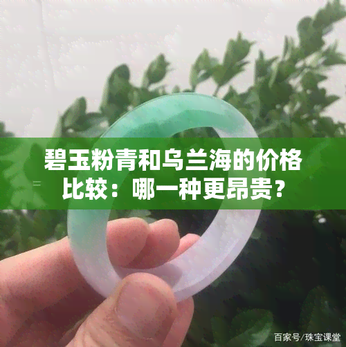 碧玉粉青和乌兰海的价格比较：哪一种更昂贵？