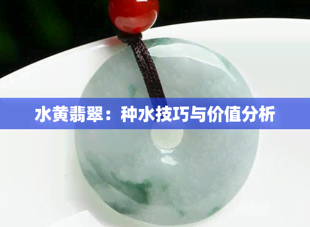 水黄翡翠：种水技巧与价值分析