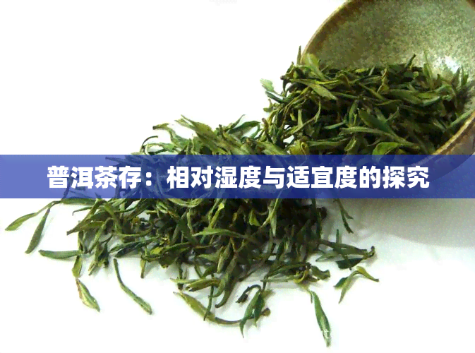 普洱茶存：相对湿度与适宜度的探究