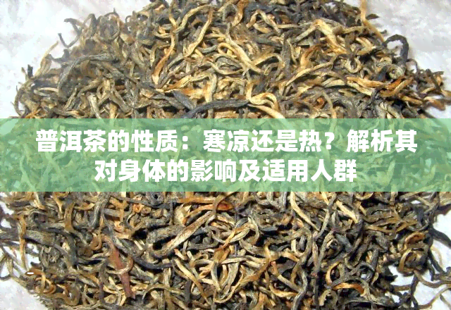 普洱茶的性质：寒凉还是热？解析其对身体的影响及适用人群