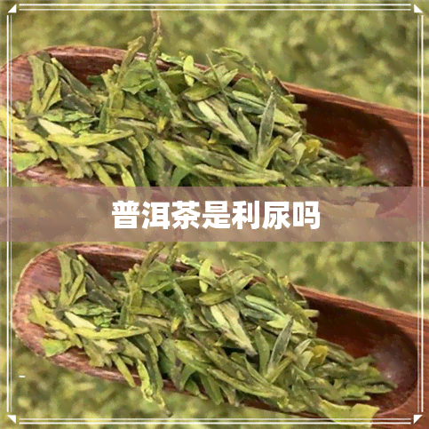 普洱茶是利尿吗