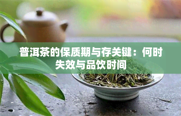 普洱茶的保质期与存关键：何时失效与品饮时间