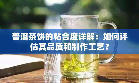 普洱茶饼的粘合度详解：如何评估其品质和制作工艺？