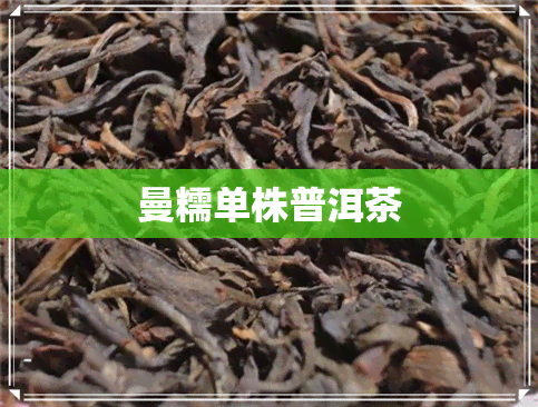 曼糯单株普洱茶