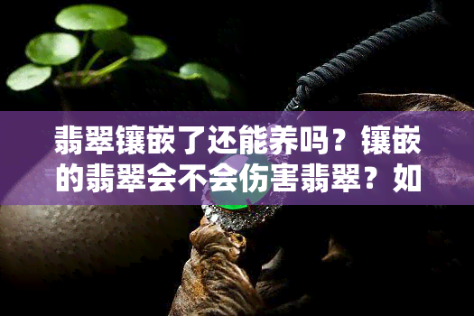 翡翠镶嵌了还能养吗？镶嵌的翡翠会不会伤害翡翠？如果翡翠镶嵌掉了怎么办？