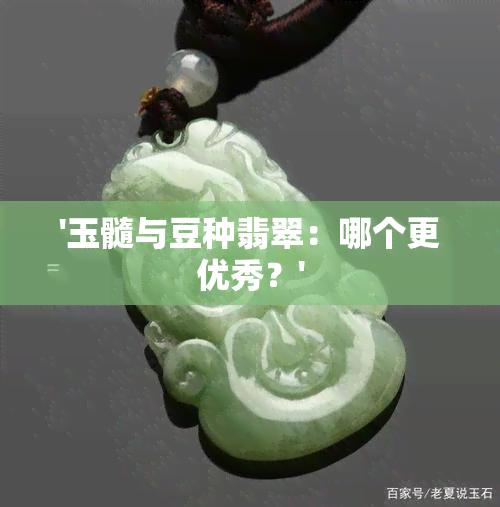 '玉髓与豆种翡翠：哪个更优秀？'