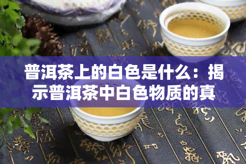 普洱茶上的白色是什么：揭示普洱茶中白色物质的真相