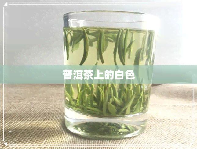 普洱茶上的白色