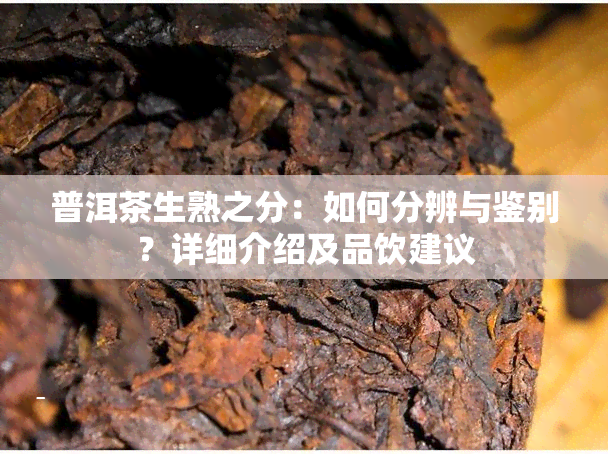 普洱茶生熟之分：如何分辨与鉴别？详细介绍及品饮建议