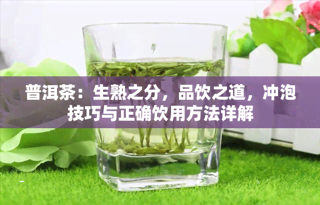 普洱茶：生熟之分，品饮之道，冲泡技巧与正确饮用方法详解