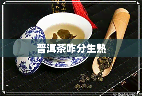 普洱茶咋分生熟