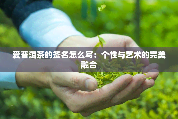 爱普洱茶的签名怎么写：个性与艺术的完美融合