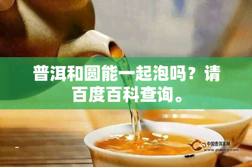 普洱和圆能一起泡吗？请百度百科查询。