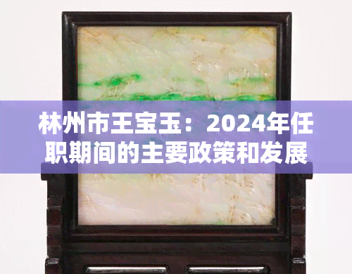 林州市王宝玉：2024年任职期间的主要政策和发展规划