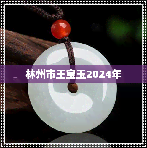 林州市王宝玉2024年