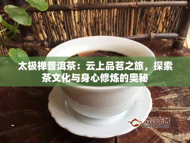 太极禅普洱茶：云上品茗之旅，探索茶文化与身心修炼的奥秘