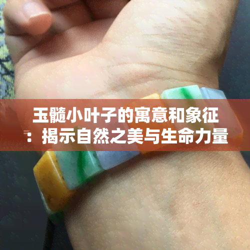 玉髓小叶子的寓意和象征：揭示自然之美与生命力量