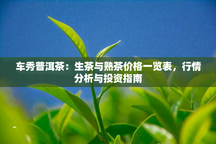 车秀普洱茶：生茶与熟茶价格一览表，行情分析与投资指南