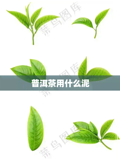 普洱茶用什么泥