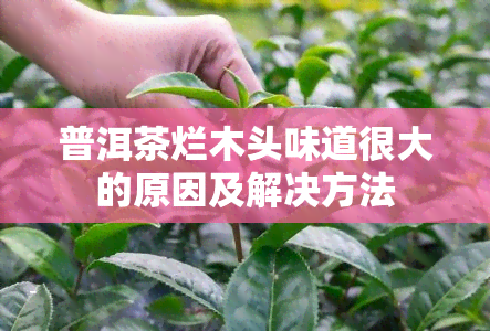 普洱茶烂木头味道很大的原因及解决方法