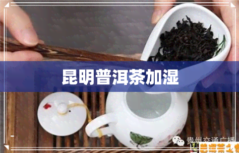 昆明普洱茶加湿