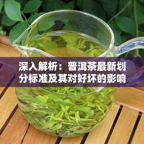 深入解析：普洱茶最新划分标准及其对好坏的影响