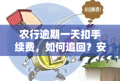 农行逾期一天扣手续费，如何追回？安全吗？