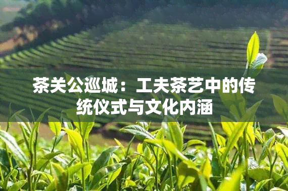 茶关公巡城：工夫茶艺中的传统仪式与文化内涵