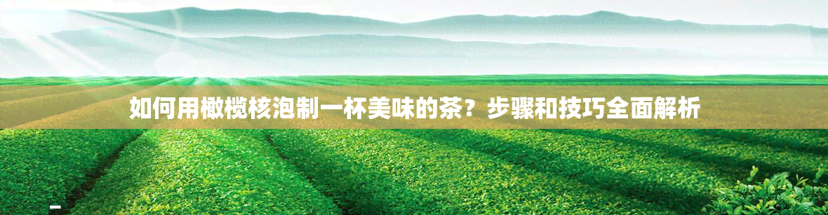 如何用橄榄核泡制一杯美味的茶？步骤和技巧全面解析