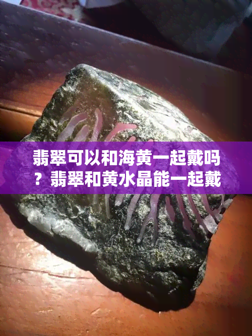 翡翠可以和海黄一起戴吗？翡翠和黄水晶能一起戴吗？