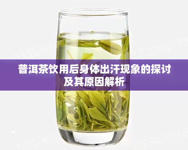 普洱茶饮用后身体出汗现象的探讨及其原因解析